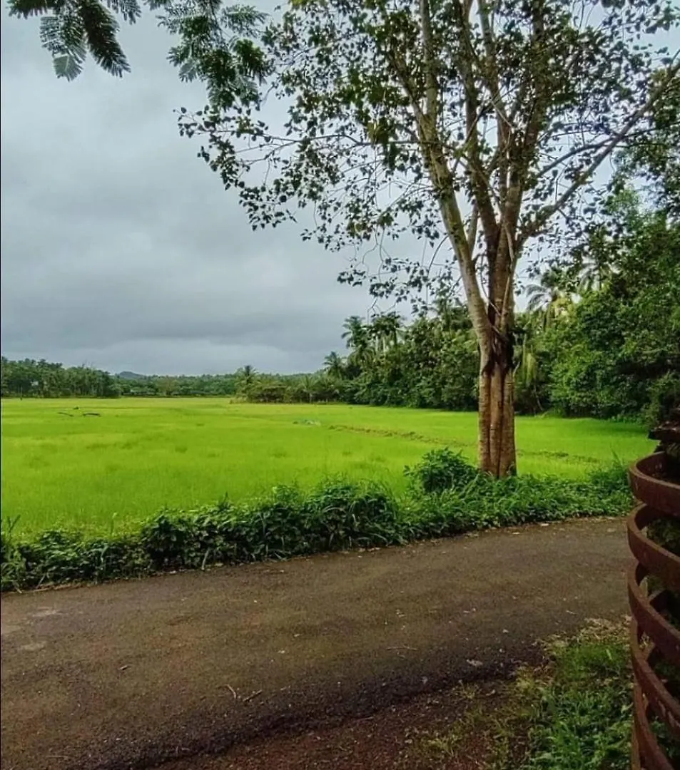 Elysium Homes Thekkumkara Homestay